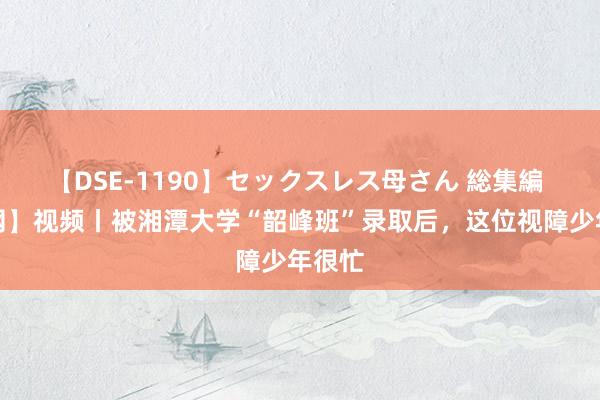 【DSE-1190】セックスレス母さん 総集編 【红网】视频丨被湘潭大学“韶峰班”录取后，这位视障少年很忙