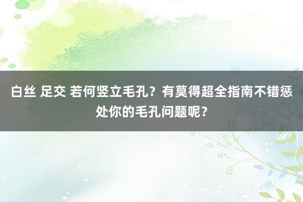 白丝 足交 若何竖立毛孔？有莫得超全指南不错惩处你的毛孔问题呢？