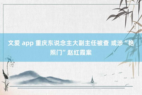 文爱 app 重庆东说念主大副主任被查 或涉“艳照门”赵红霞案