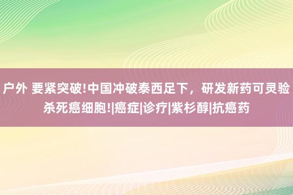 户外 要紧突破!中国冲破泰西足下，研发新药可灵验杀死癌细胞!|癌症|诊疗|紫杉醇|抗癌药