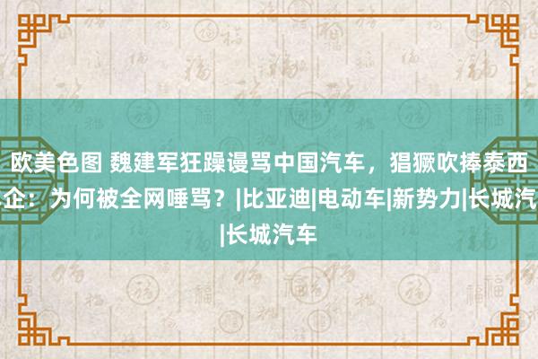 欧美色图 魏建军狂躁谩骂中国汽车，猖獗吹捧泰西车企：为何被全网唾骂？|比亚迪|电动车|新势力|长城汽车