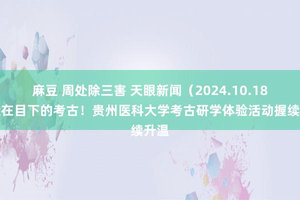 麻豆 周处除三害 天眼新闻（2024.10.18）近在目下的考古！贵州医科大学考古研学体验活动握续升温