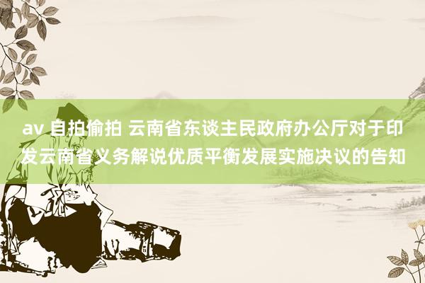 av 自拍偷拍 云南省东谈主民政府办公厅对于印发云南省义务解说优质平衡发展实施决议的告知