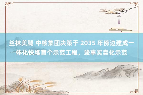 丝袜美腿 中核集团决策于 2035 年傍边建成一体化快堆首个示范工程，竣事买卖化示范