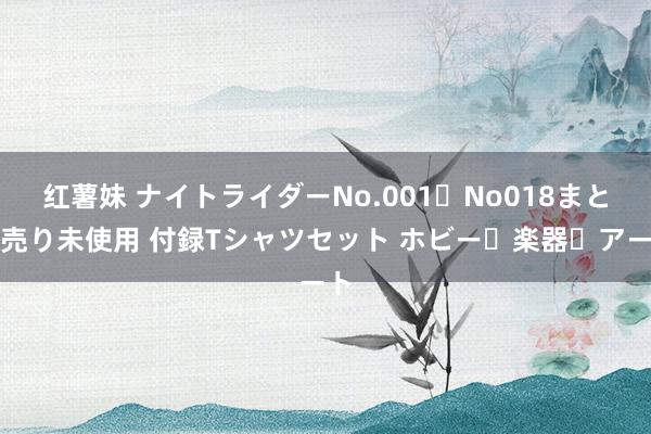 红薯妹 ナイトライダー　No.001〜No018まとめ売り　未使用 付録Tシャツセット ホビー・楽器・アート