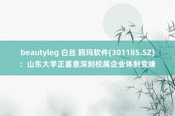 beautyleg 白丝 鸥玛软件(301185.SZ)：山东大学正蓄意深刻校属企业体制变嫌